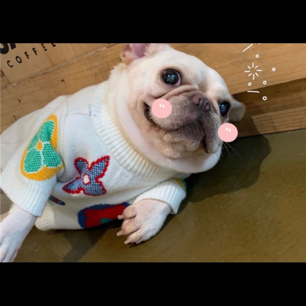 Sweater for your dog - Picture 1 of 3